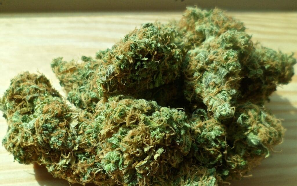 cannabis, marijuana, green