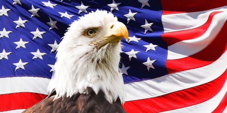 eagle, america, flag