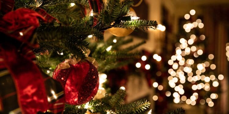 green Christmas tree
