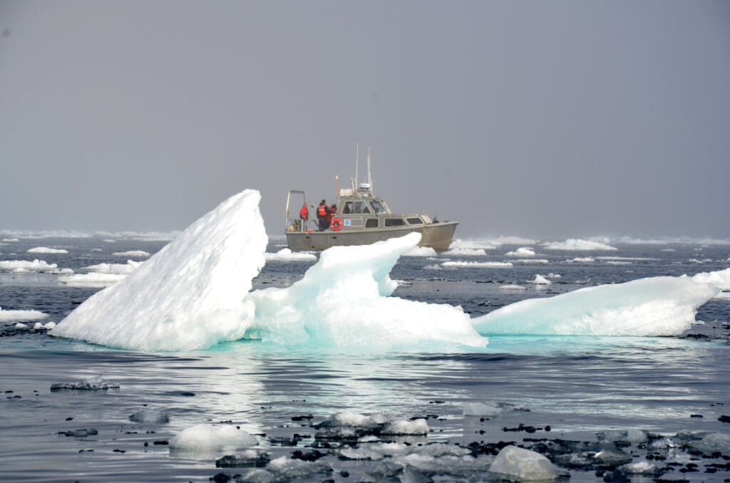 Survey launch from NOAA Ship FAIRWEATHER in the pack ice about 40 miles west of Point Barrow.