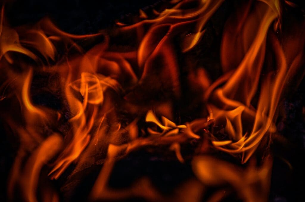 When I made a barbecue, I saw how a tree burns up and decided to take photo of it.