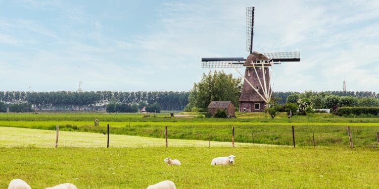 Windmill