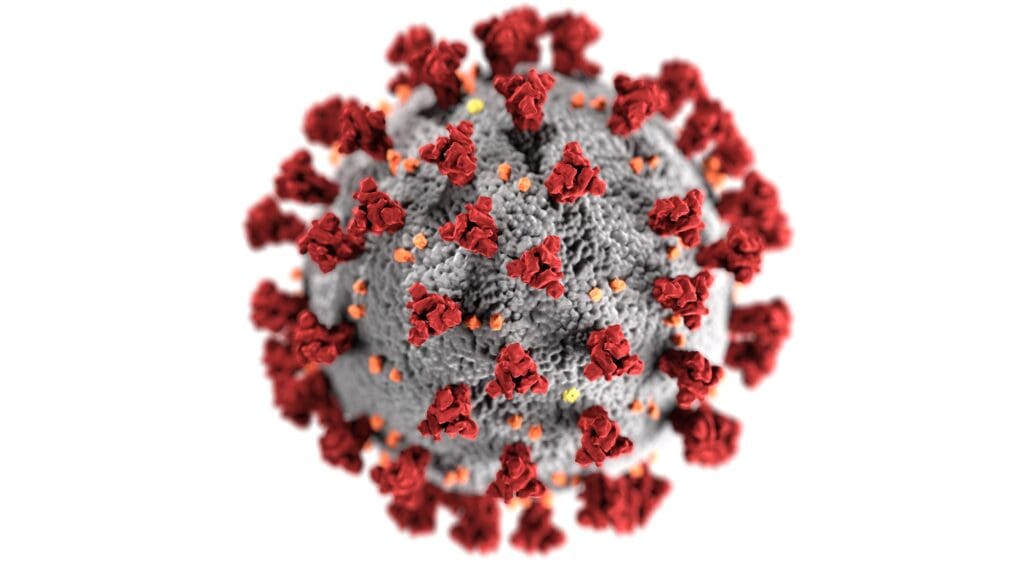 This illustration, created at the Centers for Disease Control and Prevention <noread>(CDC)</noread>, reveals ultrastructural morphology exhibited by coronaviruses. Note the spikes that adorn the outer surface of the virus, which impart the look of a corona surrounding the virion, when viewed electron microscopically. A novel coronavirus, named Severe Acute Respiratory Syndrome coronavirus 2 <noread>(SARS-CoV-2)</noread>, was identified as the cause of an outbreak of respiratory illness first detected in Wuhan, China in 2019. The illness caused by this virus has been named coronavirus disease 2019 <noread>(COVID-19)</noread>.