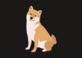 Zdroj: Canva