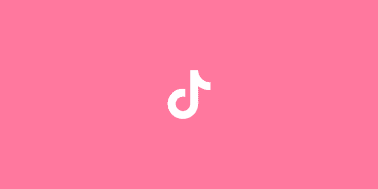 Zdroj: Canva