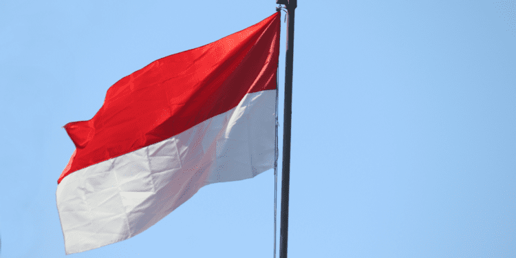 Zdroj: Canva