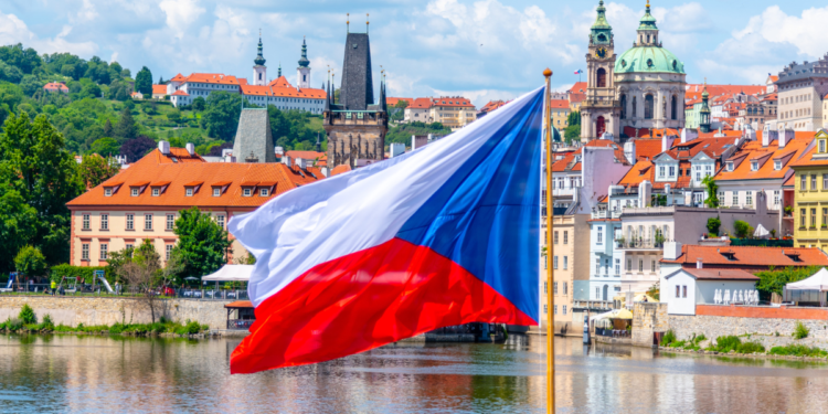 Zdroj: Canva