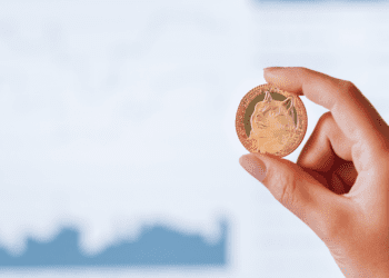 Zdroj: Canva