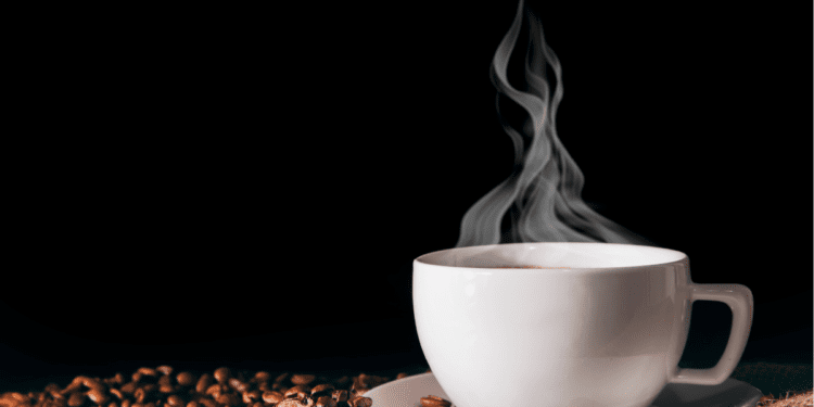 Zdroj: Canva