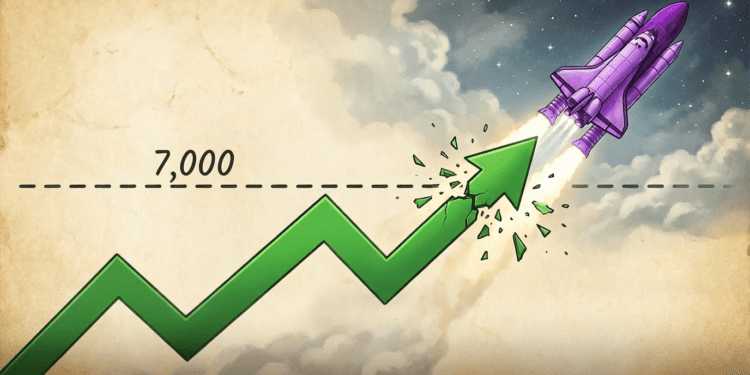 Zdroj: BurzovníSvět.cz