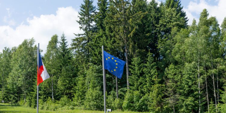 Zdroj: Shutterstock