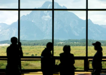 Zdroj: Getty images