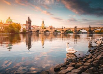 Zdroj: Shutterstock