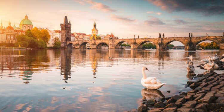 Zdroj: Shutterstock