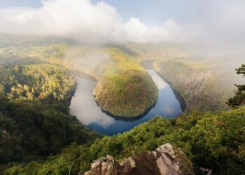 Zdroj: Shutterstock